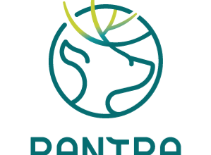 Rantra 臺灣 評價推薦、折扣碼、優惠券相關情報